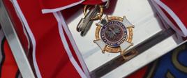 Ochotnicza Straż Pożarna w Gosaniu – 100 lat działalności