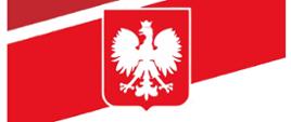 Plakat opisujący przebieg uroczystości związanych z 233.rocznicą uchwalenia Konstytucji 3 maja, na plakacie znajduj się Godło Polski, logo Powiatu Łosickiego oraz Miasta i Gminy Łosice 