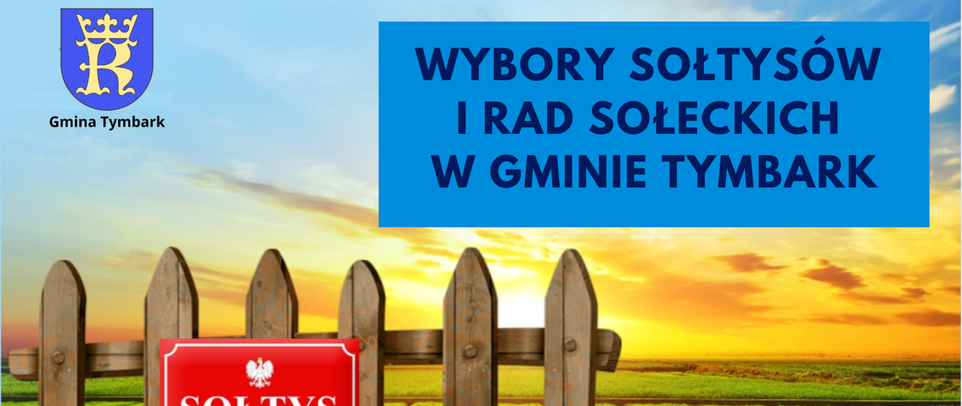 Wybory