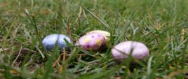 Czekoladowe jajeczka na trawie w czasie zabawy plenerowej 'Wielkanocne zbieranie jajeczek" 
