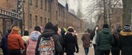 Uczniowie Zespołu Szkół Usługowych i Spożywczych w Jaśle przechodzący przez Bramę w Auschwitz -Birkenau z napisem „Arbeit macht frei” co znaczy Praca czyni wolnym