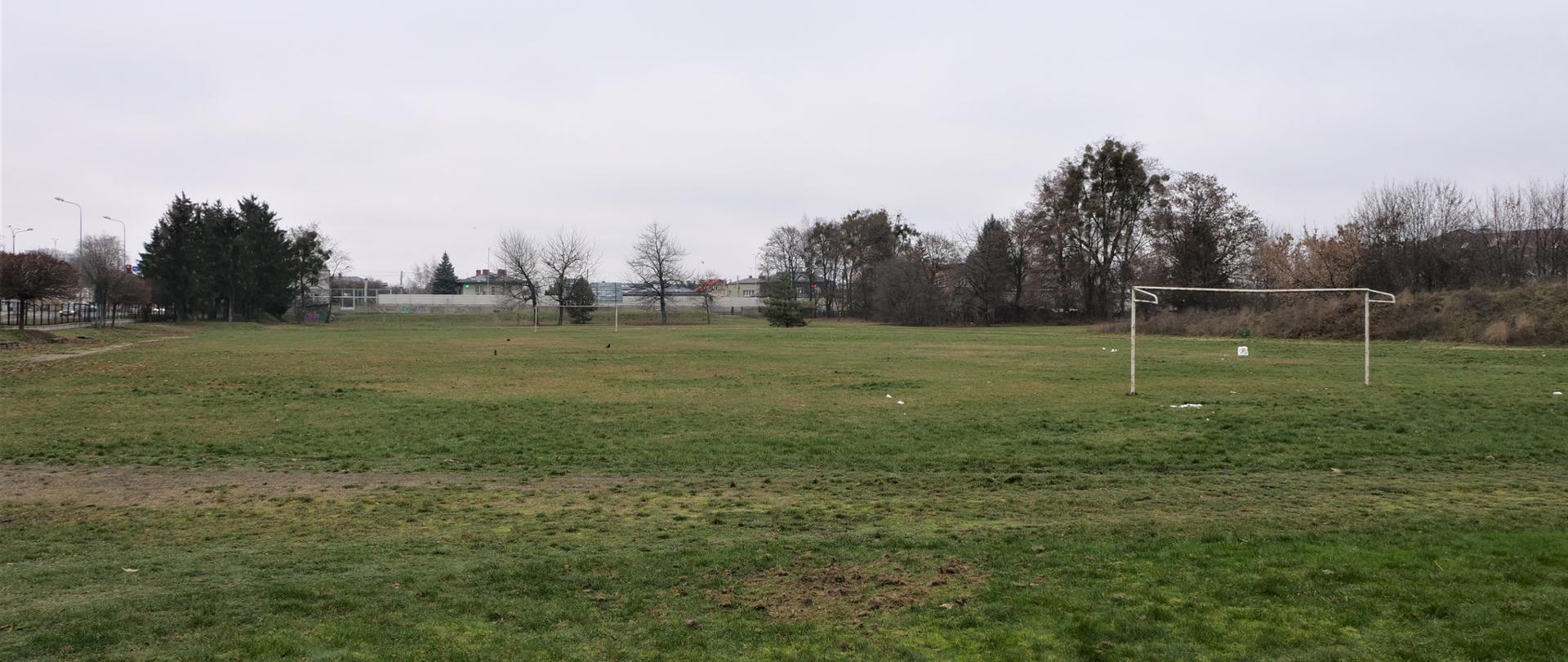 Zdjęcie przedstawia trawiaste boisko z bramkami