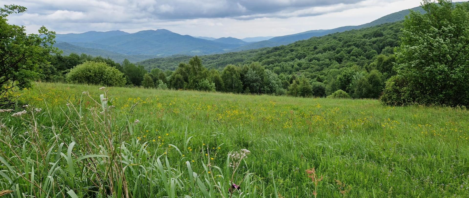 Dwudniowa wycieczka w Bieszczady