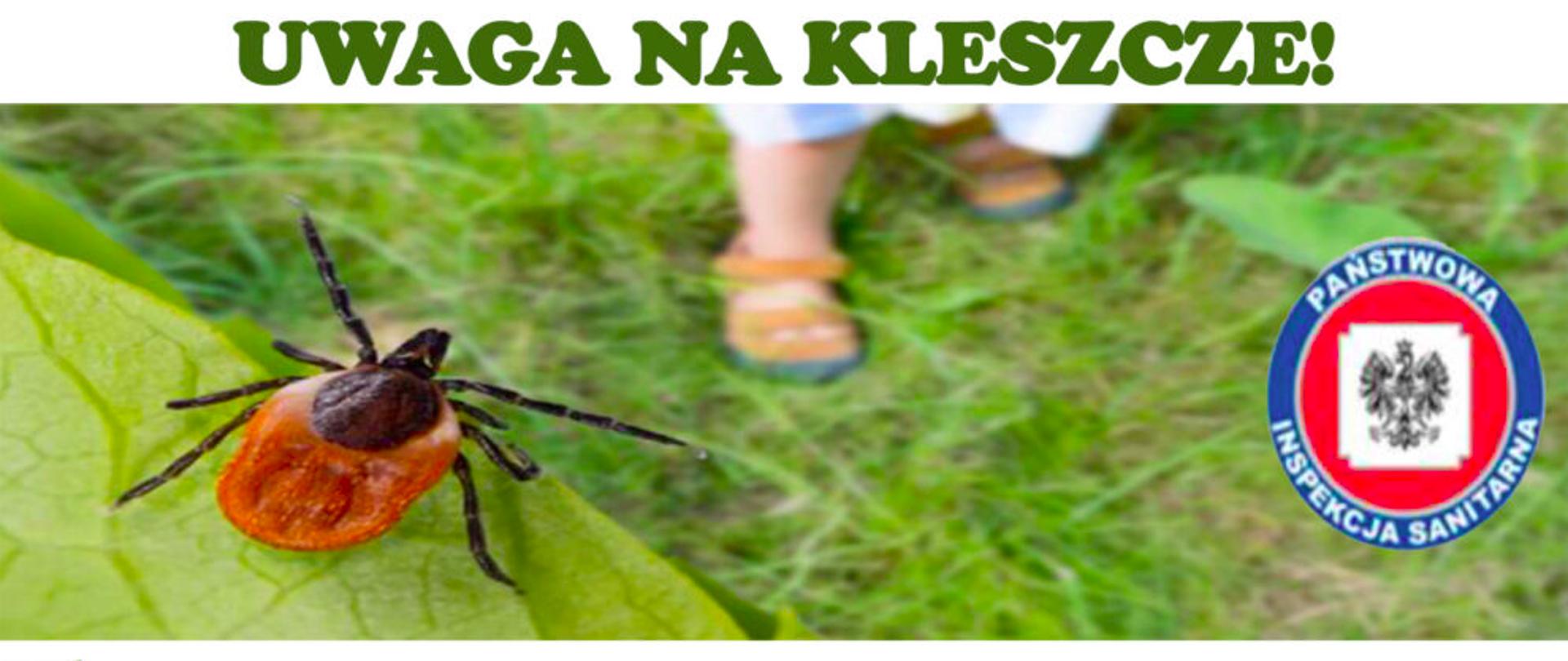 Kleszcze