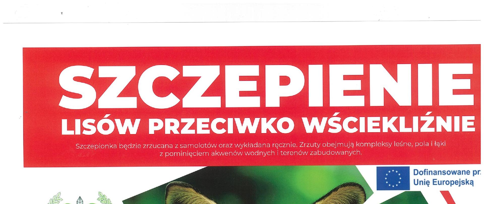 szczepionka lisy
