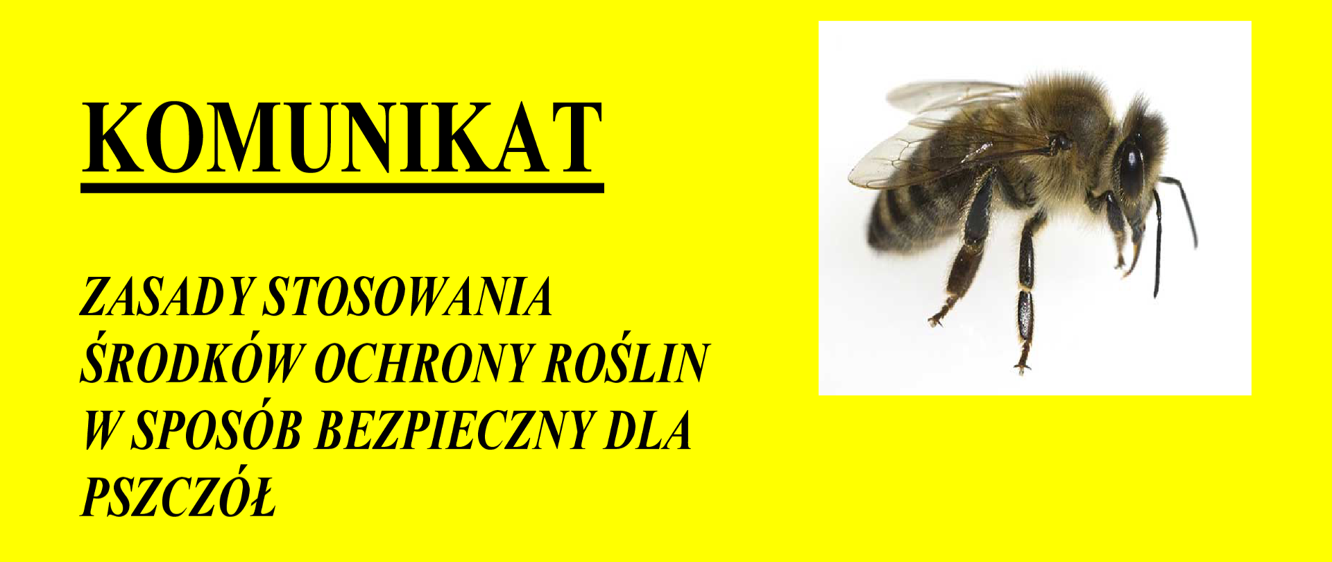 Zdjęcie przedstawia zasady stosowania środków ochrony roślin w sposób bezpieczny dla pszczół.