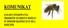 Zdjęcie przedstawia zasady stosowania środków ochrony roślin w sposób bezpieczny dla pszczół.
