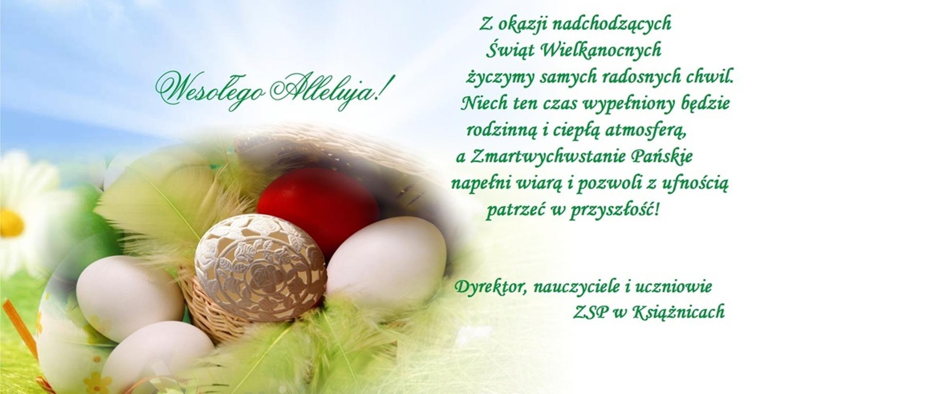 Wesołego Alleluja!
