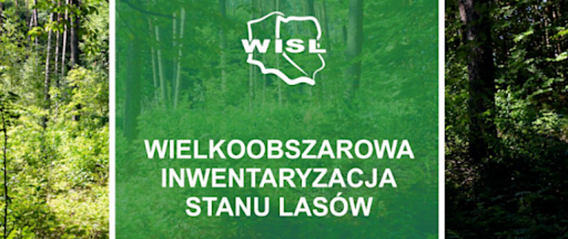 Wielkoobszarowa Inwentaryzacja Stanu Lasów