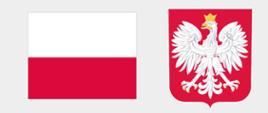 Plakat promujący program Asystent - u góry herb i flaga Polski, u dołu informacje o projekcie, zawarte w artykule
