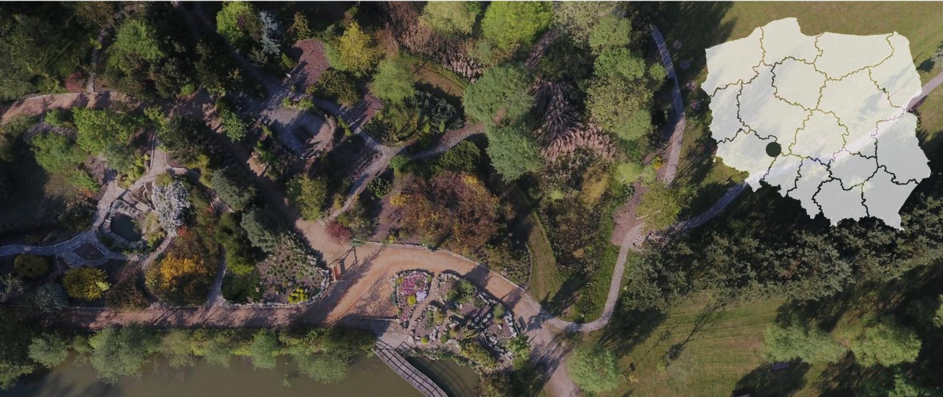 Arboretum w Stradomi