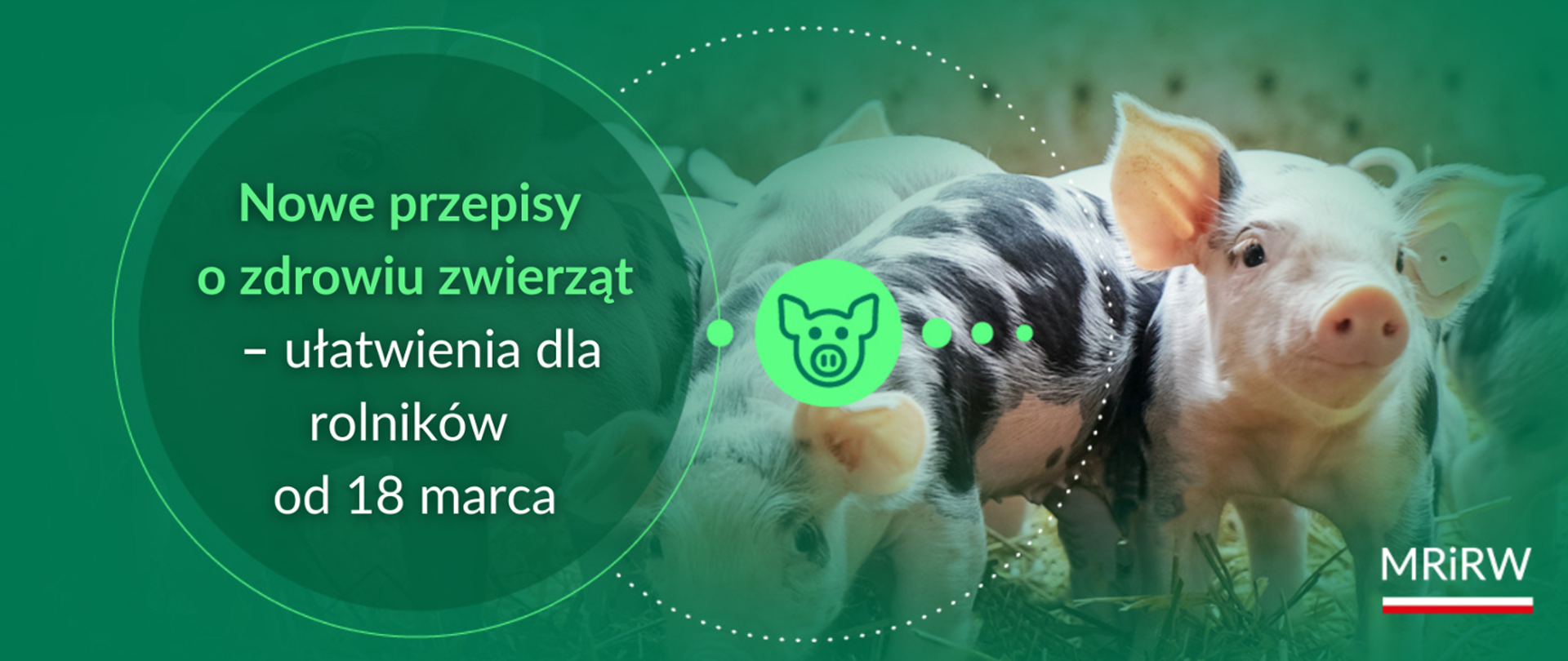 Nowe przepisy o zdrowiu zwierząt - ułatwienia dla rolników od 18 marca