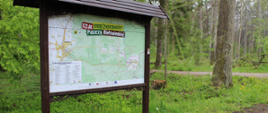 Na Szlaku Bioróżnorodności Puszczy Białowieskiej - tablica informacyjna przy drodze w Puszczy Białowieskiej
