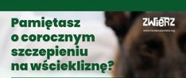 Wścieklizna - śmiertelne zagrożenie dla ludzi i zwierząt