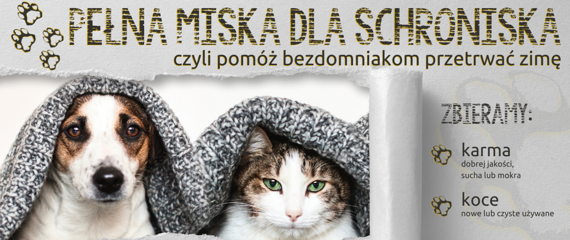 Zbiórka dla bezdomnych psów i kotów