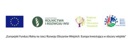 Logotyp Organizatora - UE - MRiRW - KSOW - PROW