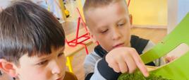 Uczniowie klasy pierwszej wyhodowali roślinki