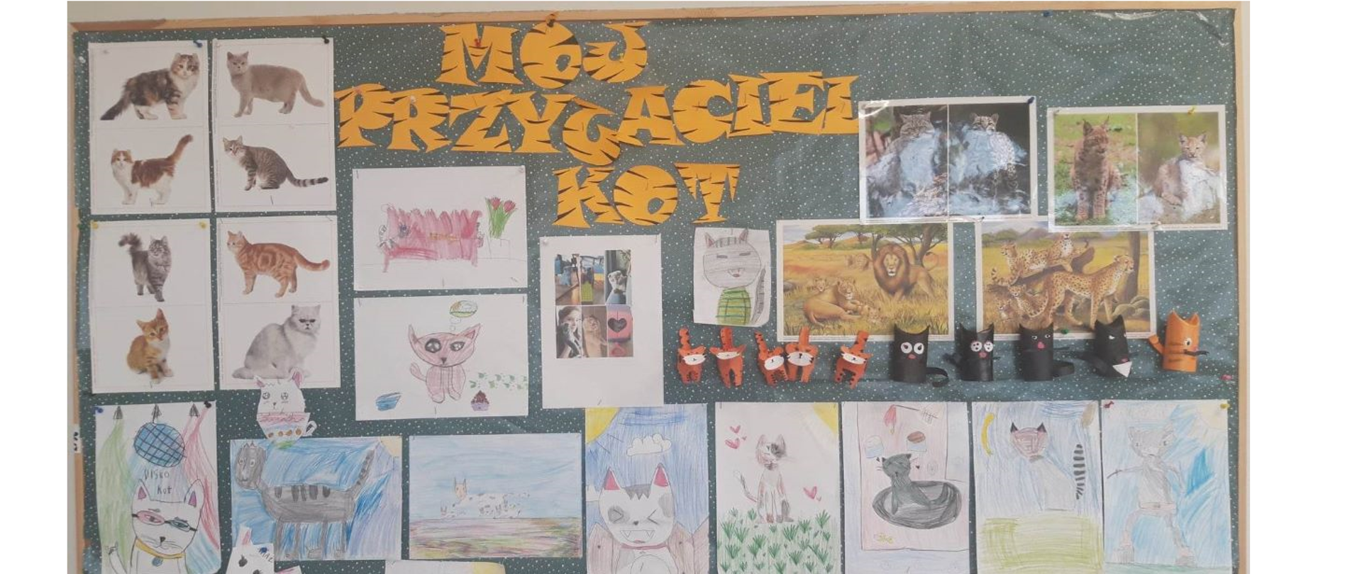 Mój przyjaciel kot