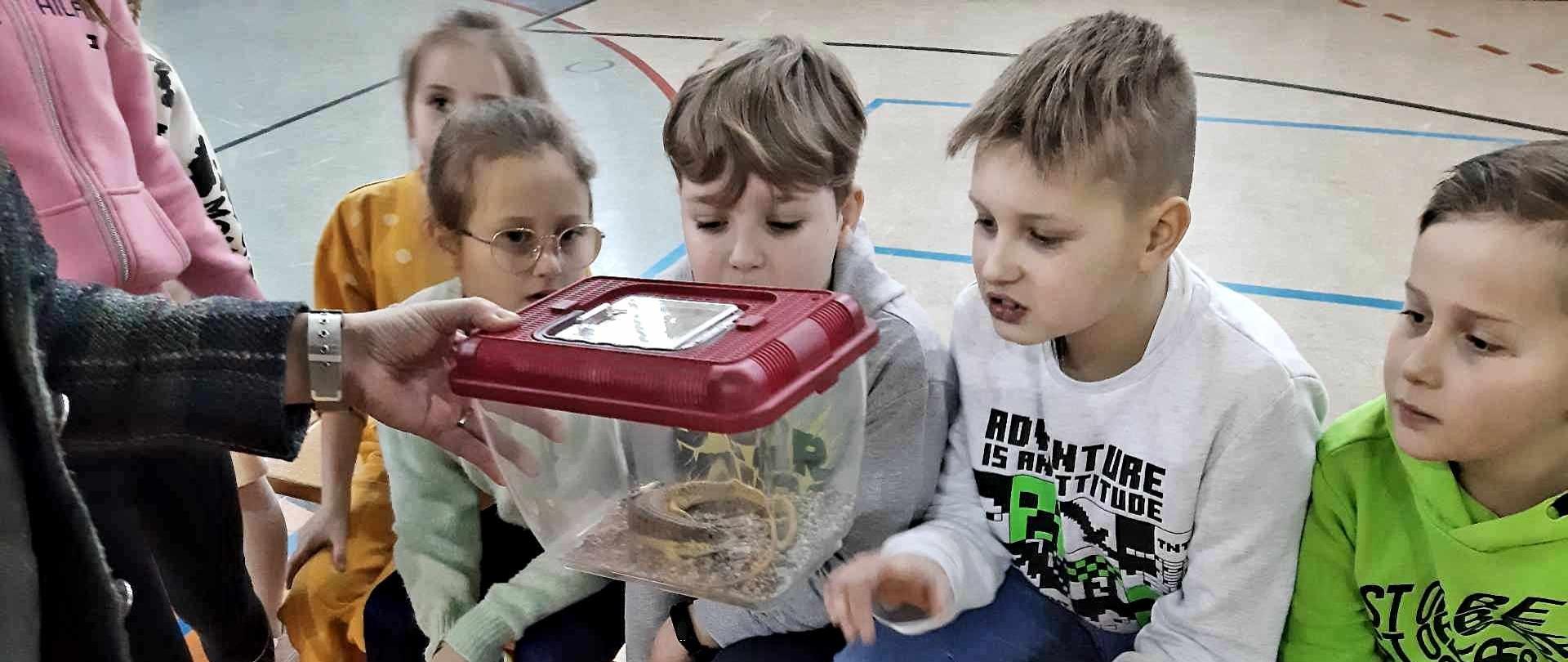 Dzieci oglądające zwierzęta w trakcie żywej lekcji zoologii.