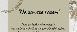 Wiersz nr 6