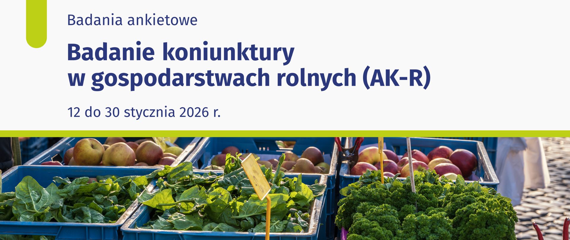 Badanie koniunktury w gospodarstwach rolnych (AK-R)