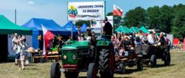 Jagodowe żniwa za brodem 2023