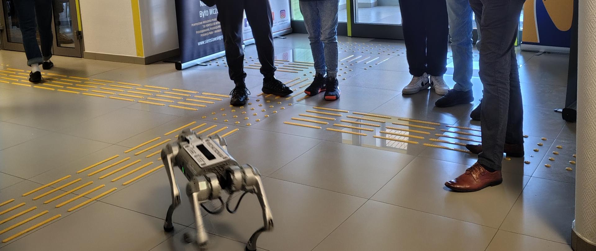 Uczniowie sterują robotem - psem w CKPiDN.