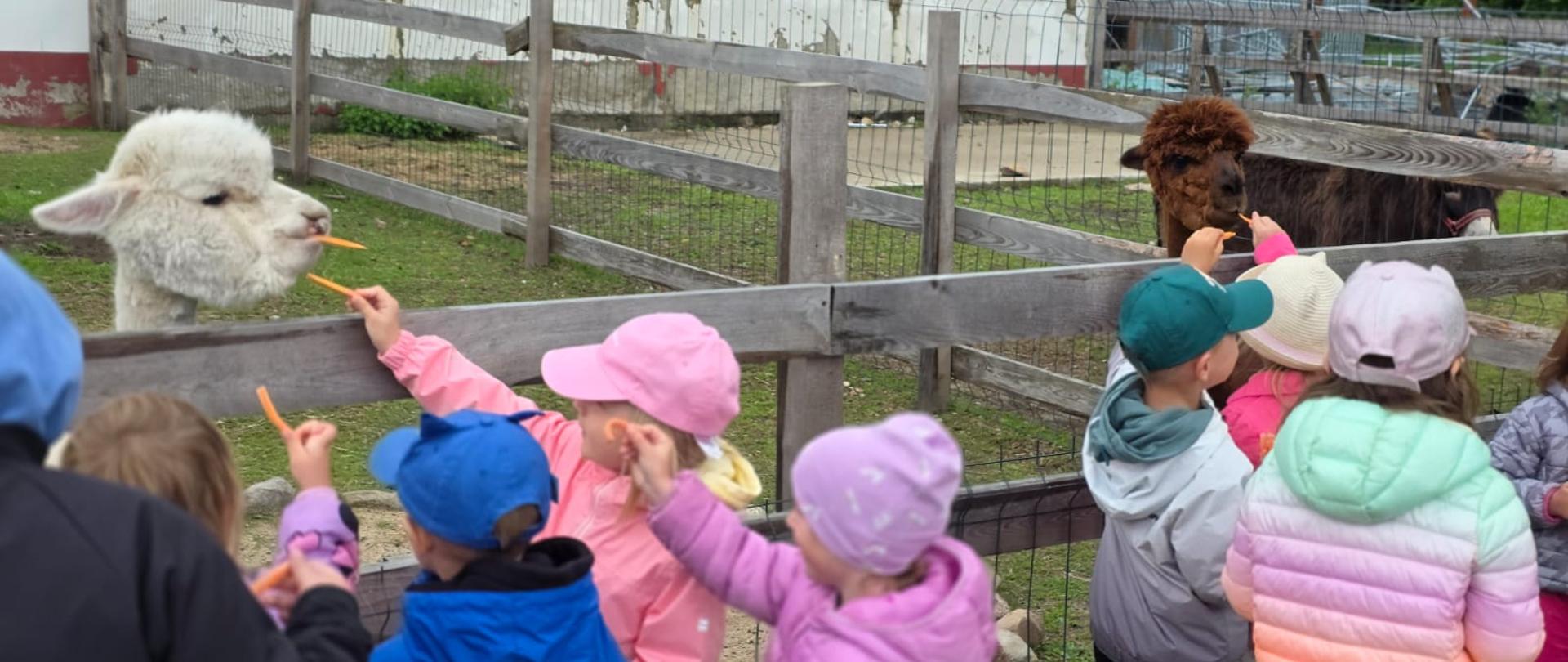 Wycieczka do Mini Zoo