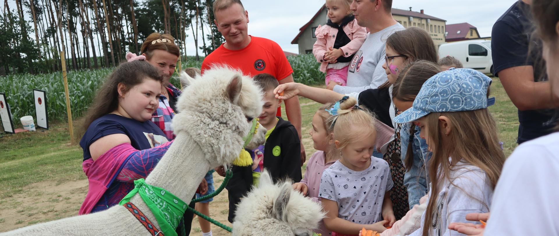 PIKNIK RODZINNY ZDJĘCIE NR 14