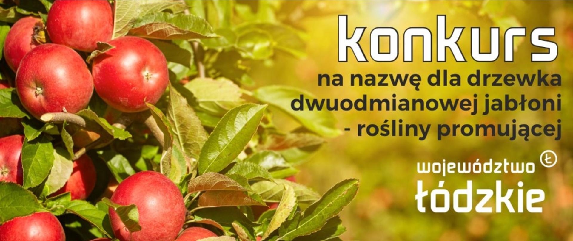 Konkurs na nazwę dla drzewka dwuodmianowej jabłoni
