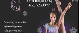 Waga_Winter_Cup_10-1102_plakat