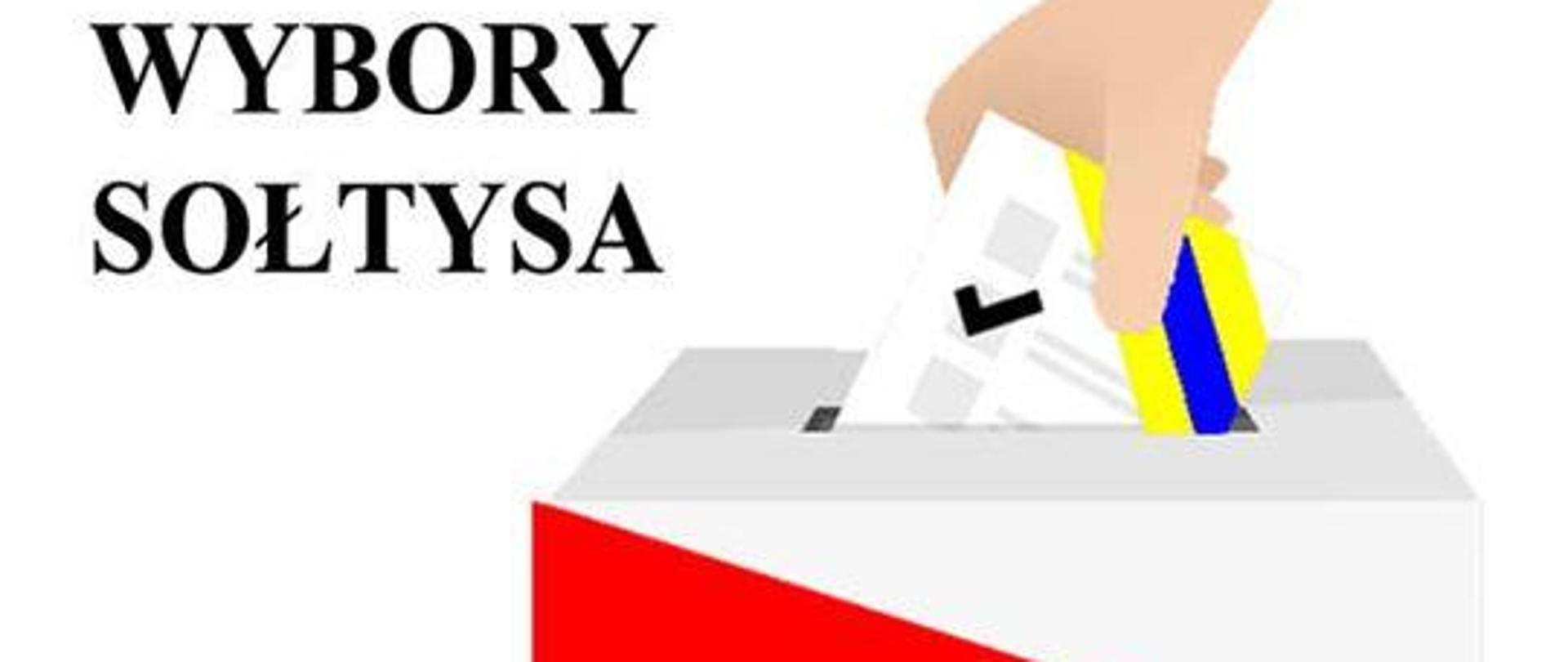 wybory sołtysa