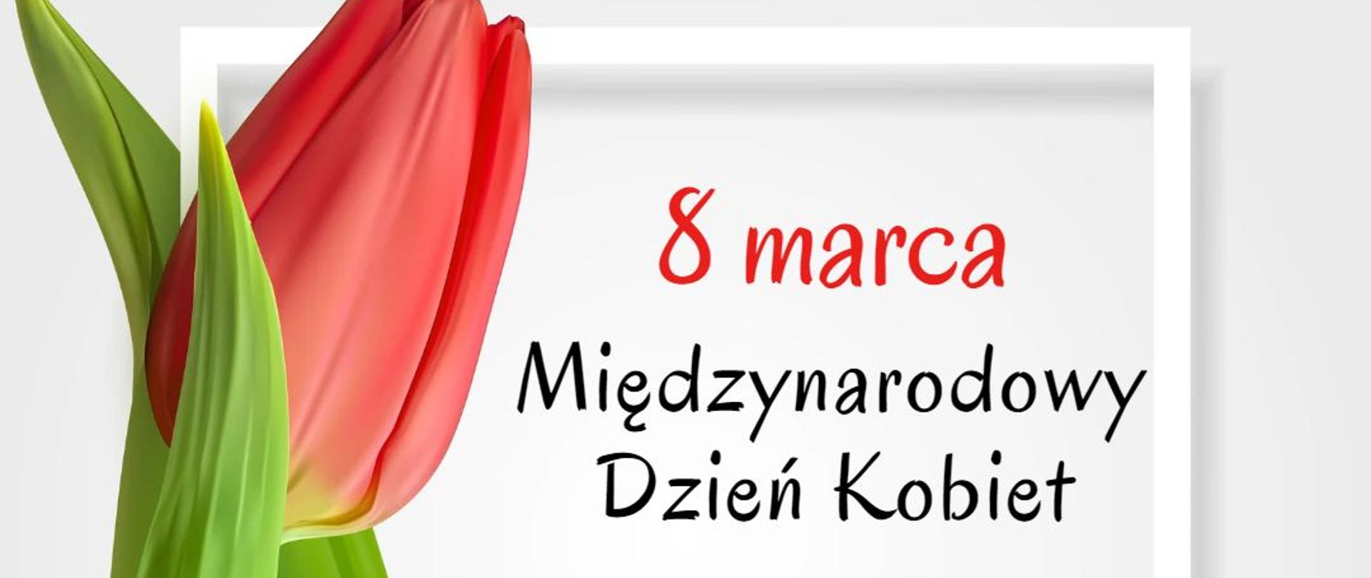 8 marca Międzynarodowy Dzień Kobiet