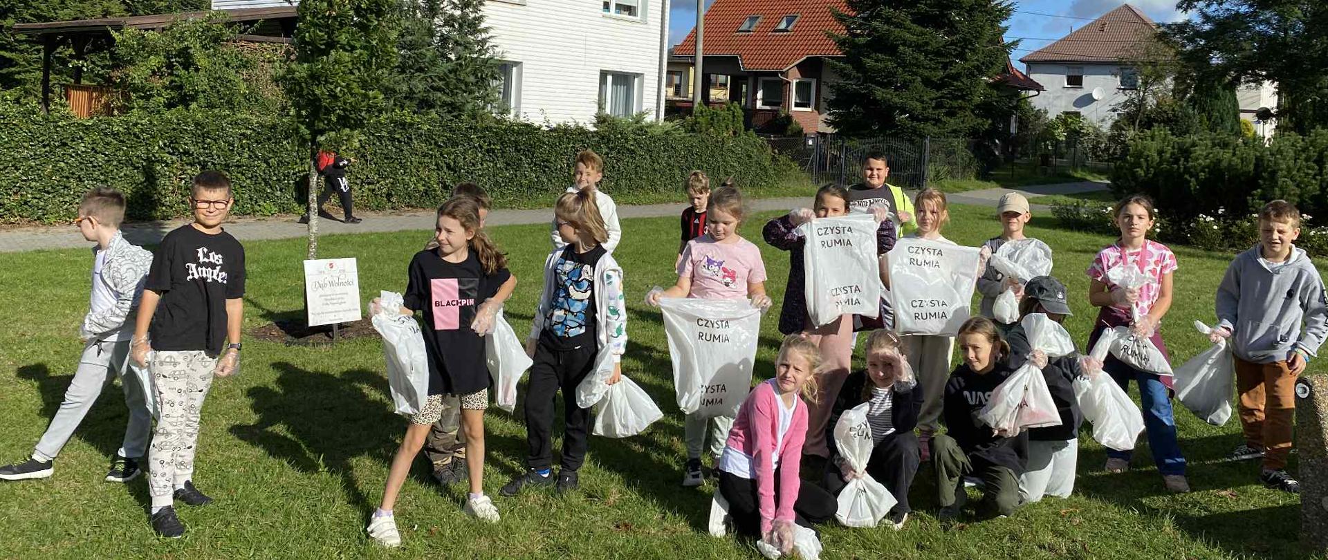 "Sprzątanie świata"