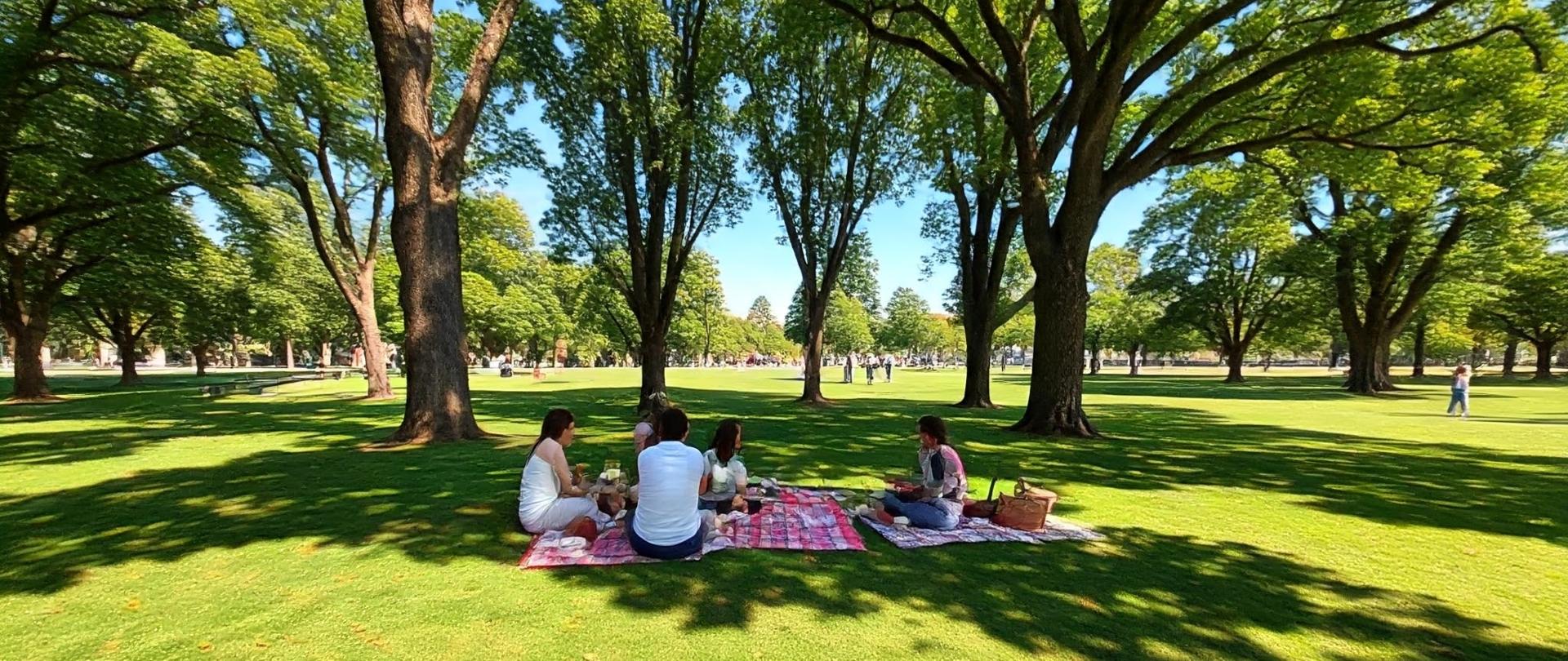 Piknik