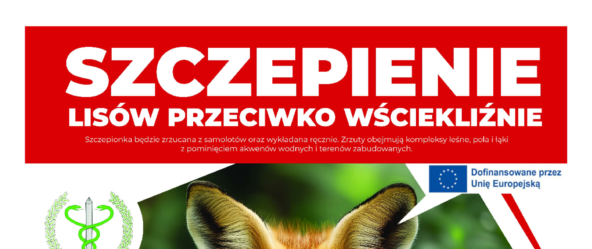 Plakat informacyjny Mazowieckiego Wojewódzkiego Lekarza Weterynarii dotyczący akcji szczepienia lisów wolno żyjących przeciwko wściekliźnie w województwie mazowieckim w dniach 10–16 września 2026 r. Na plakacie znajduje się zdjęcie lisa, wygląd przynęty i kapsułki ze szczepionką, ostrzeżenie „Nie dotykać szczepionki!” oraz zasady bezpieczeństwa dla mieszkańców i właścicieli zwierząt.