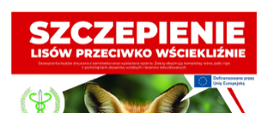 Szczepienie lisów przeciwko wściekliźnie