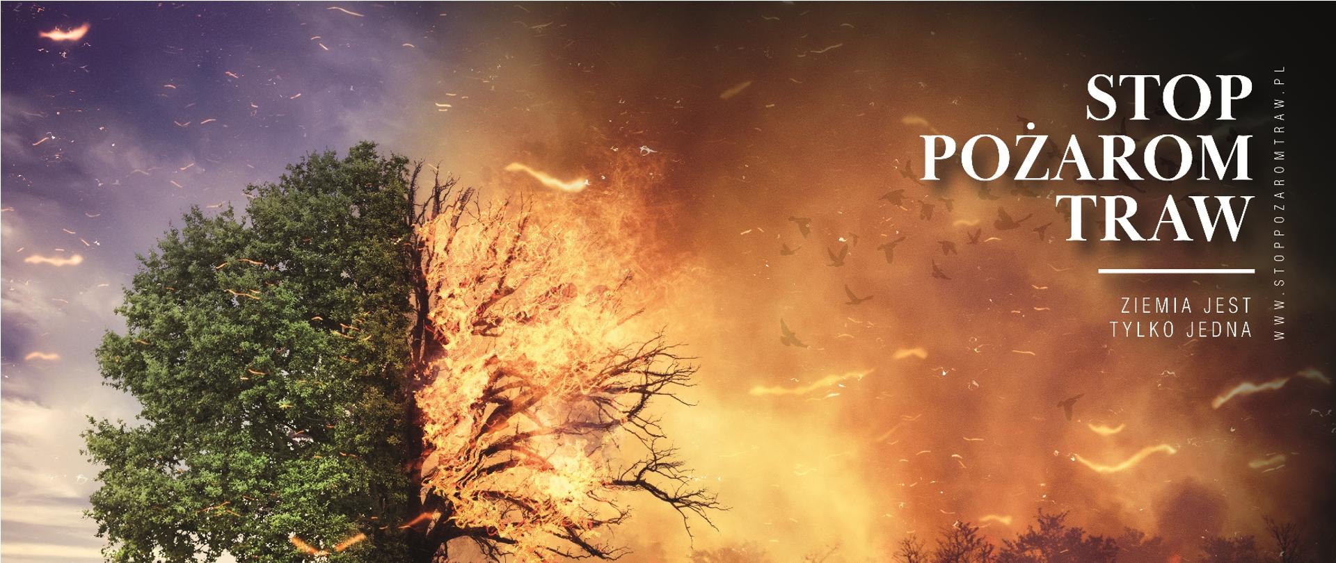 PLAKATY