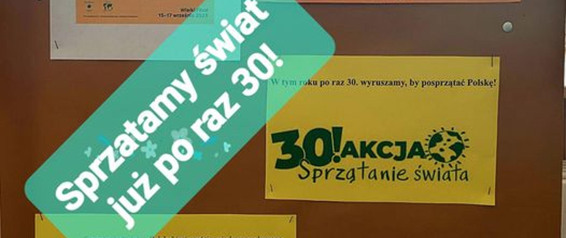 Sprzątanie świata
