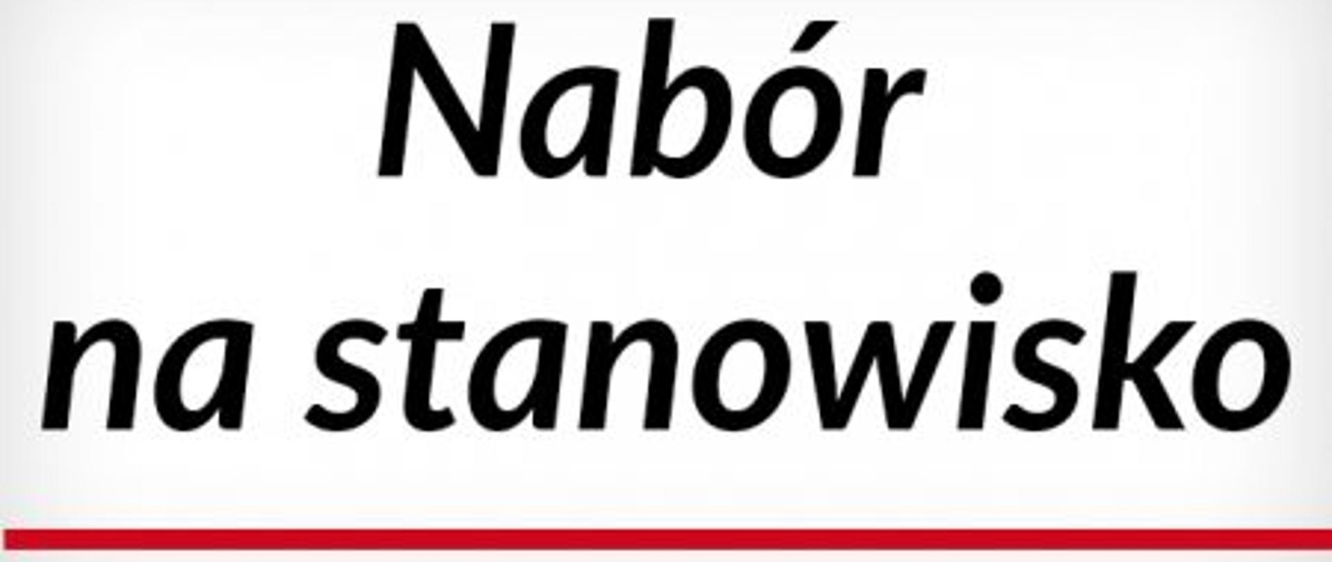 Zdjęcie zawiera tekst " nabór na stanowisko"