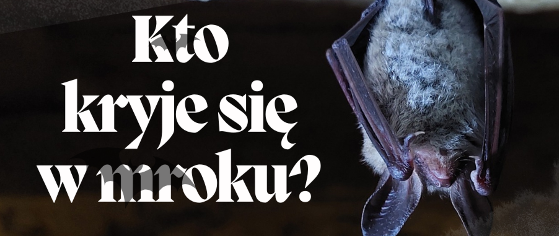 Kto kryje się w mroku? – sobota w muzeum