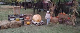 Dziecko stoi przy jesiennej wystawie przy drzwiach przedszkola