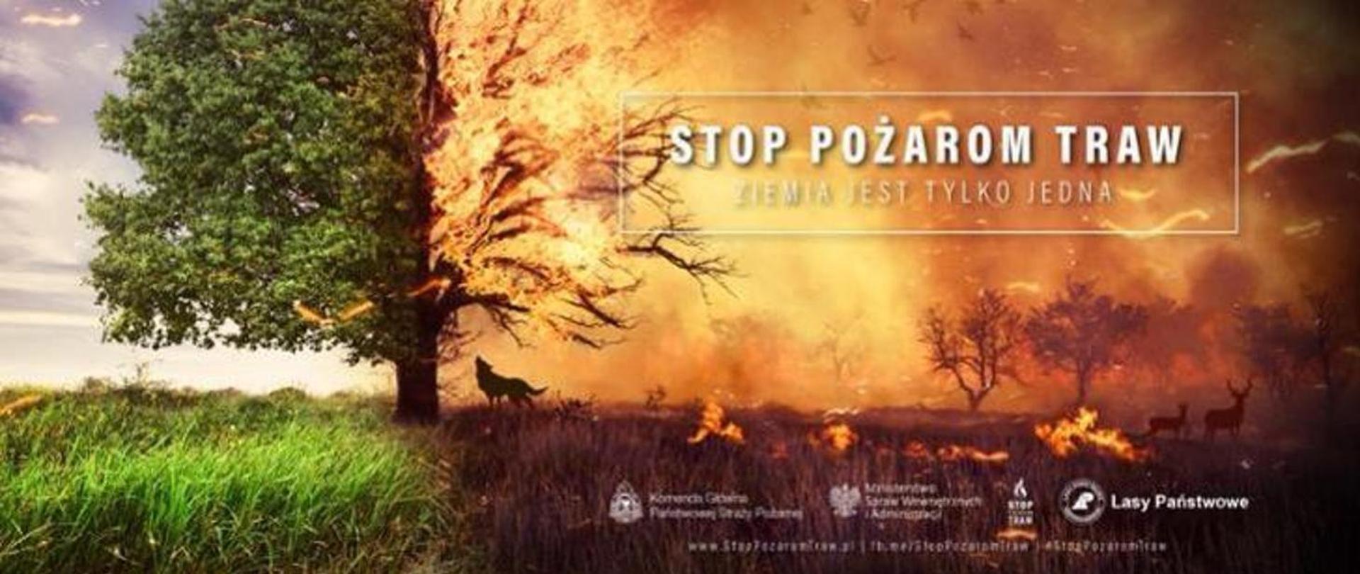 Zdjęcie przedzielone na pół. Po lewej stronie łąka na której stoi drzewo podczas pięknej pogody. Druga połowa drzewa płonie ogniem i wszystko co jest po jego prawej stronie płonie. Na płonącej części napis Stop Pożarom Traw - Ziemia jest tylko jedna