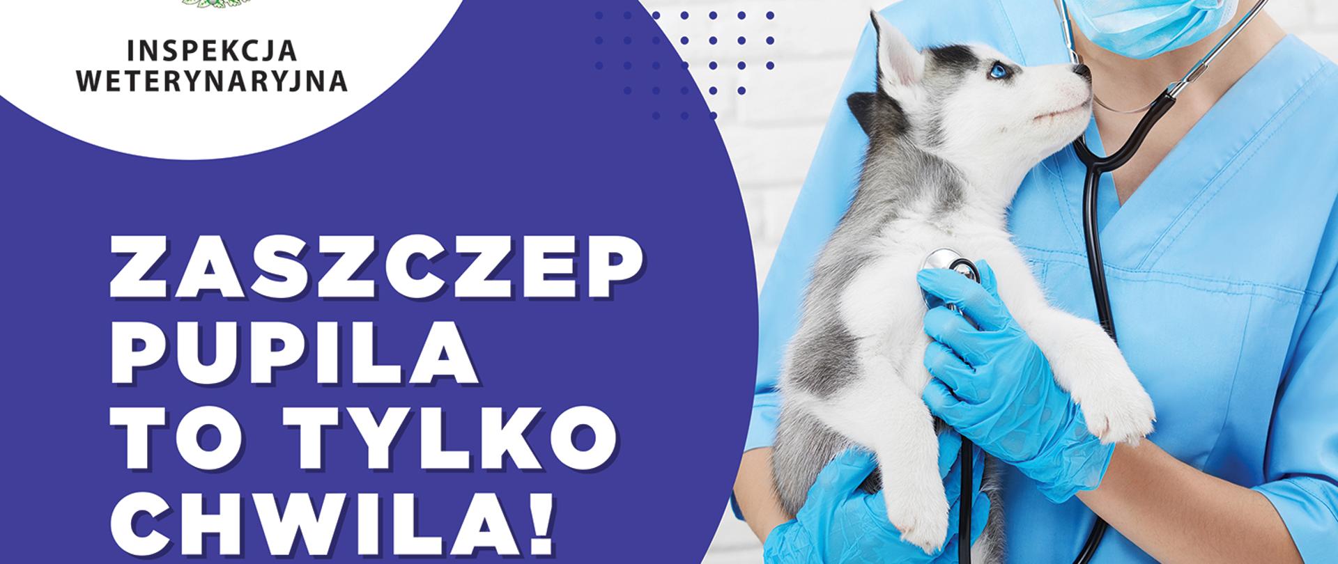 plakat informujący o konieczności szczepienia zwierząt domowych.