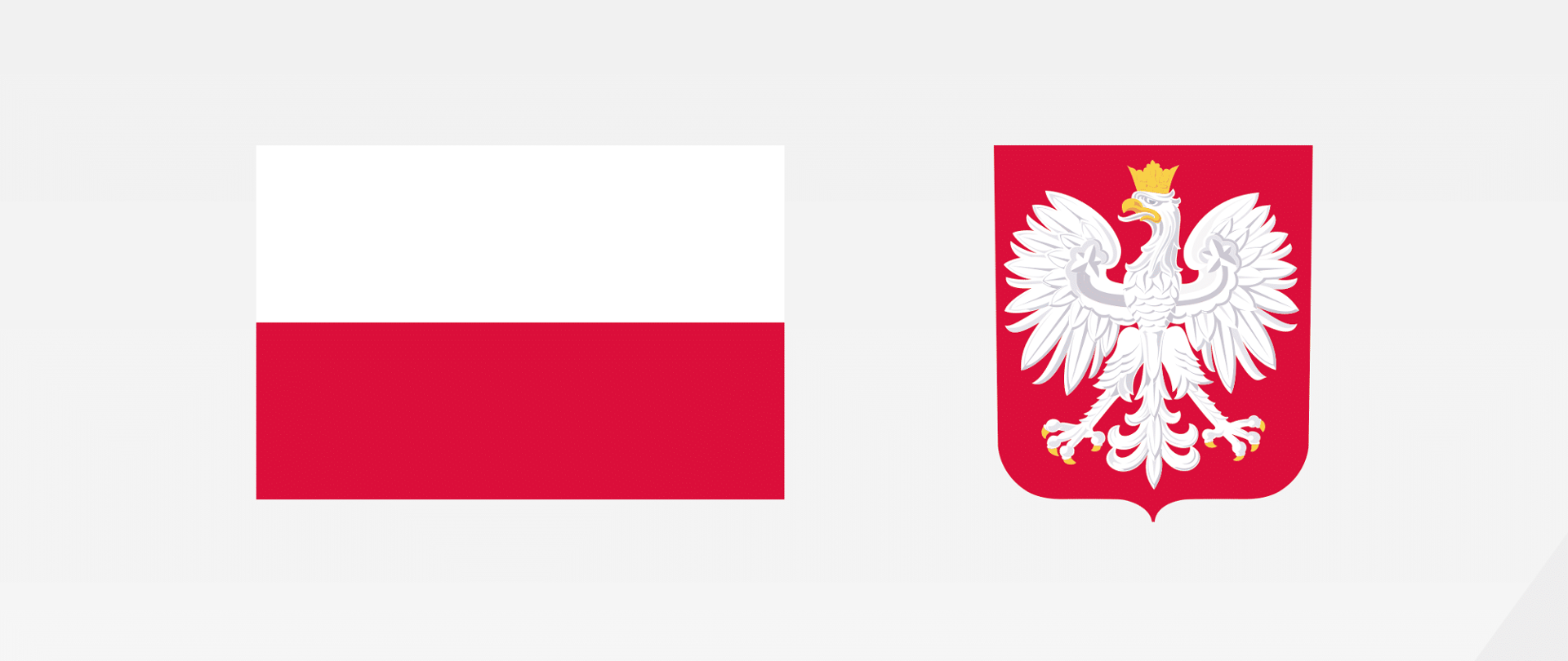 Ozdobny plakat z informacjami z artykułu