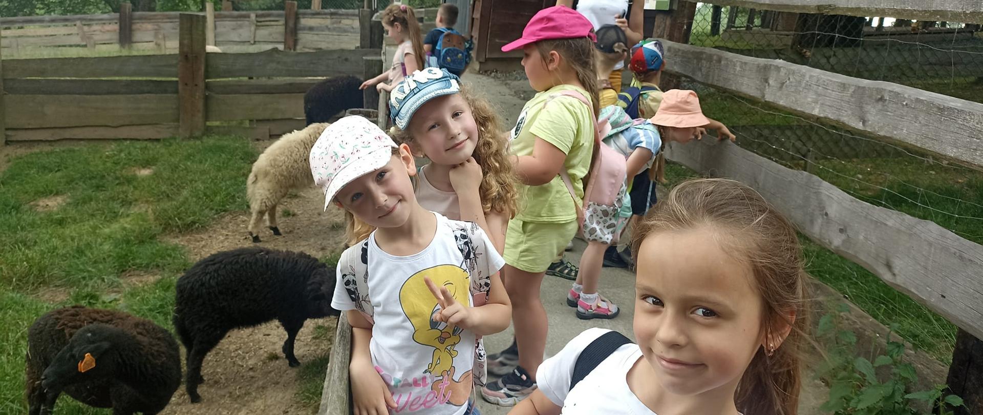 Na pierwszym planie widać 3 dziewczynki, które uśmiechają się, stojąc przy zagrodzie owiec. W zagrodzie widać 4 owce, 3 czarne i jedną białą. W tle widać inne dzieci, przyglądające się zwierzętom. 