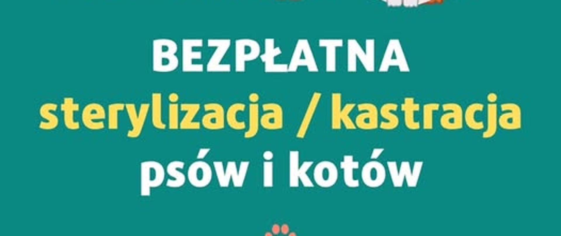 sterylizacja i kastracja 