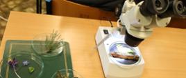 W pracowni biologicznej - mikroskopy