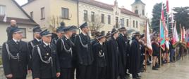 Druhowie i druhny podczas uroczystości 11 listopada