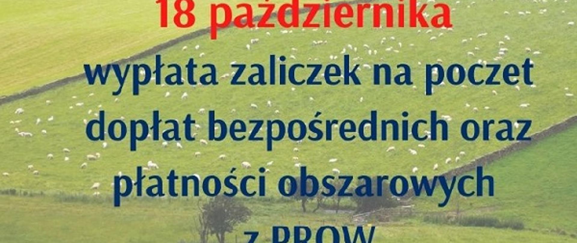 Logo- dopłaty bezpośrednie